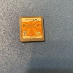 Nintendo DS Game