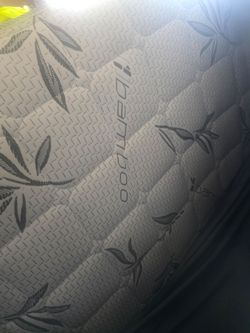 Free twin mattress