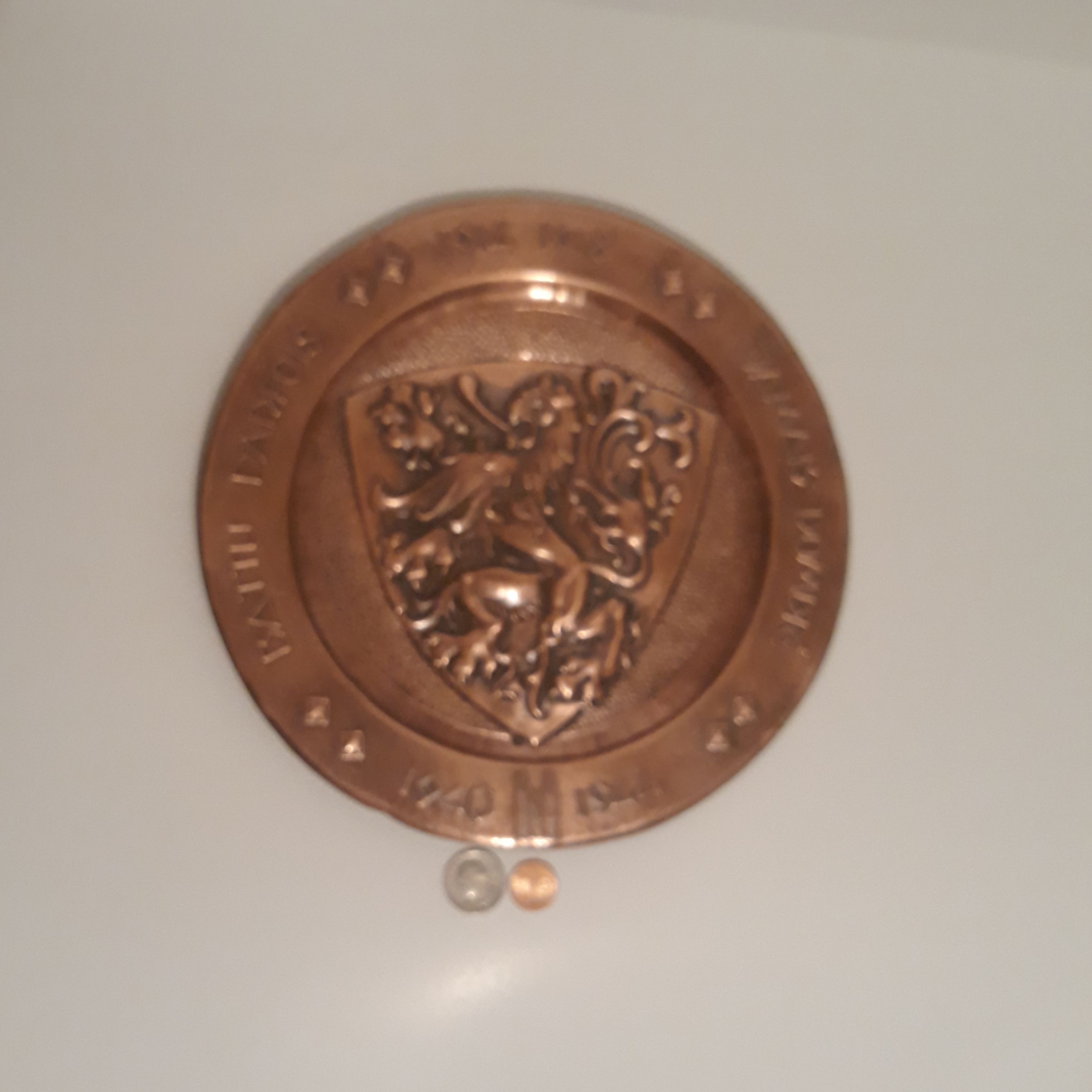 Vintage Metal Copper Wall Hanging Plate, 10" Wide, Lion, Home Decor, Wall Decor, Shelf Display, This Can Be Shined Up Even More