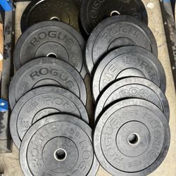 Rogue Bumper Weights