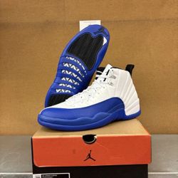 Blueberry Jordan 12s
