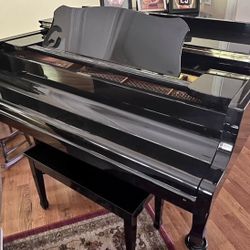 Young Chang G-175 Baby Grand Piano
