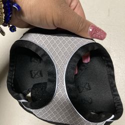 ( Boots & Barkley) Dogs Vest Size XS/S For Dogs 