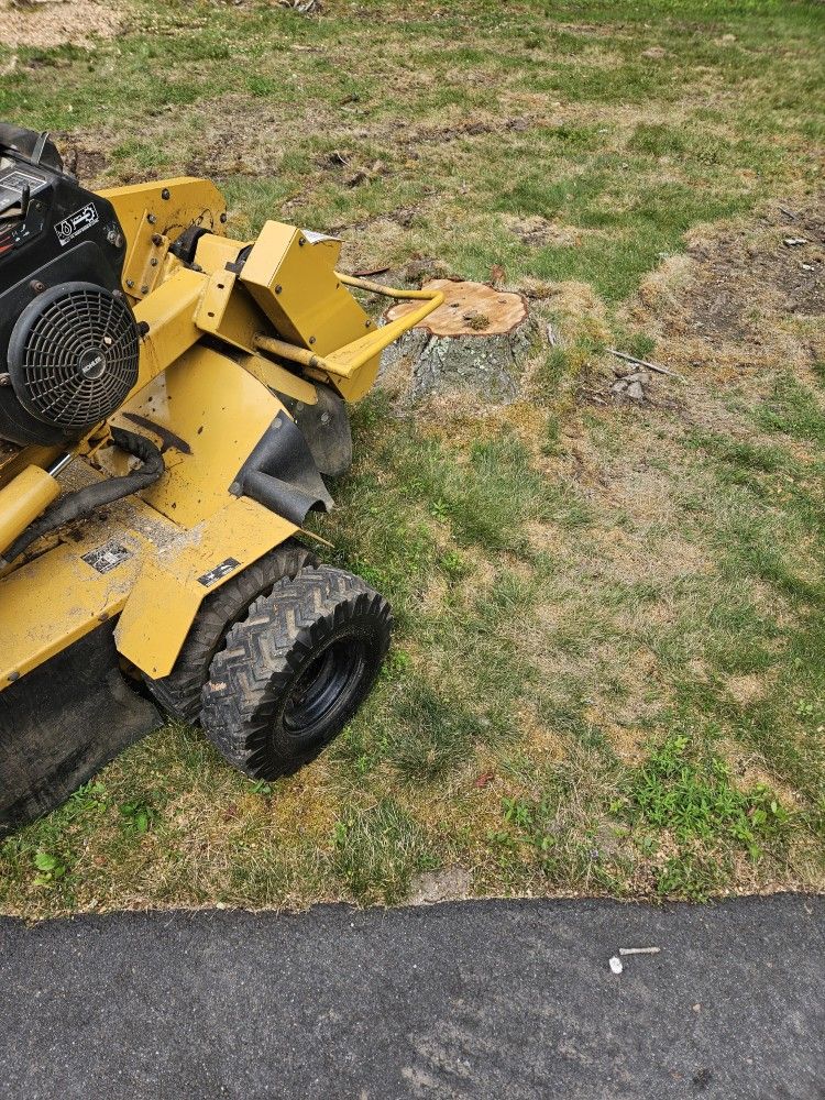 Stump Grinding