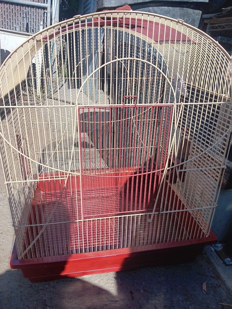 Bird Cage