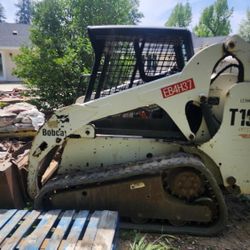 Bobcat