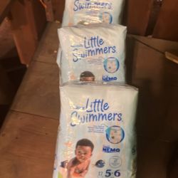 Little Swimmers 