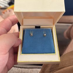 Small Diamond Earrings
