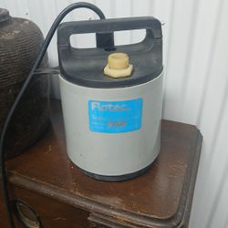Flotec Villige Pump