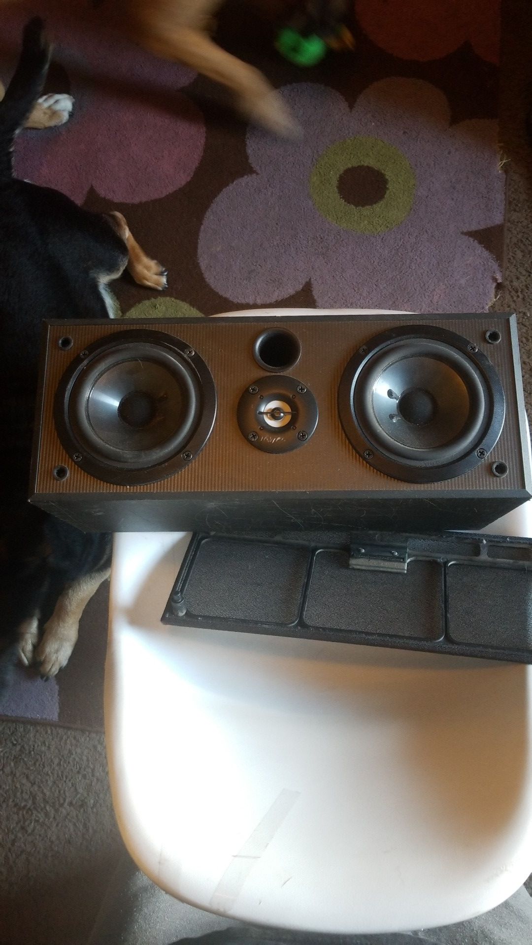 Two center speakers obo 150w
