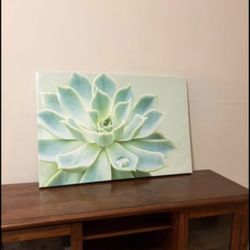 Print on Canvas Succulent