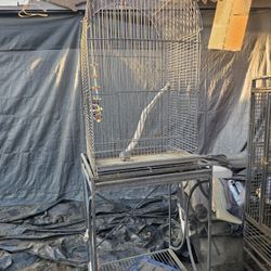 Bird Cage 