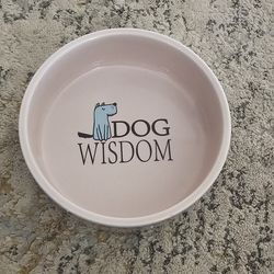 5-inch Ceramic Dog Bowl 