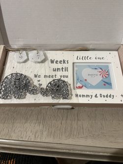 Pregnancy Tracker Picture Frame
