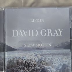 DAVID GRAY - Life In Slow Motion 