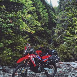 2021 Honda Crf 300 L Rally