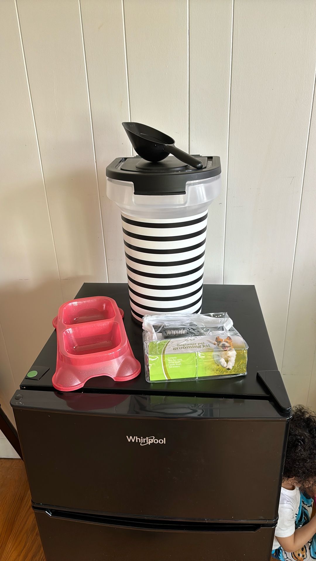 New Dog Essentials