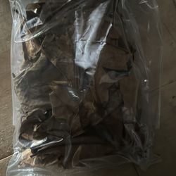 Almond Leaves 