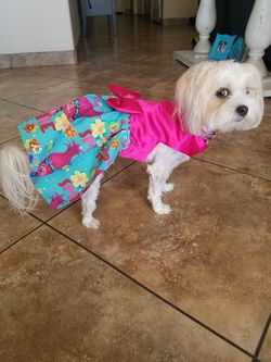 Handmade dog clothes