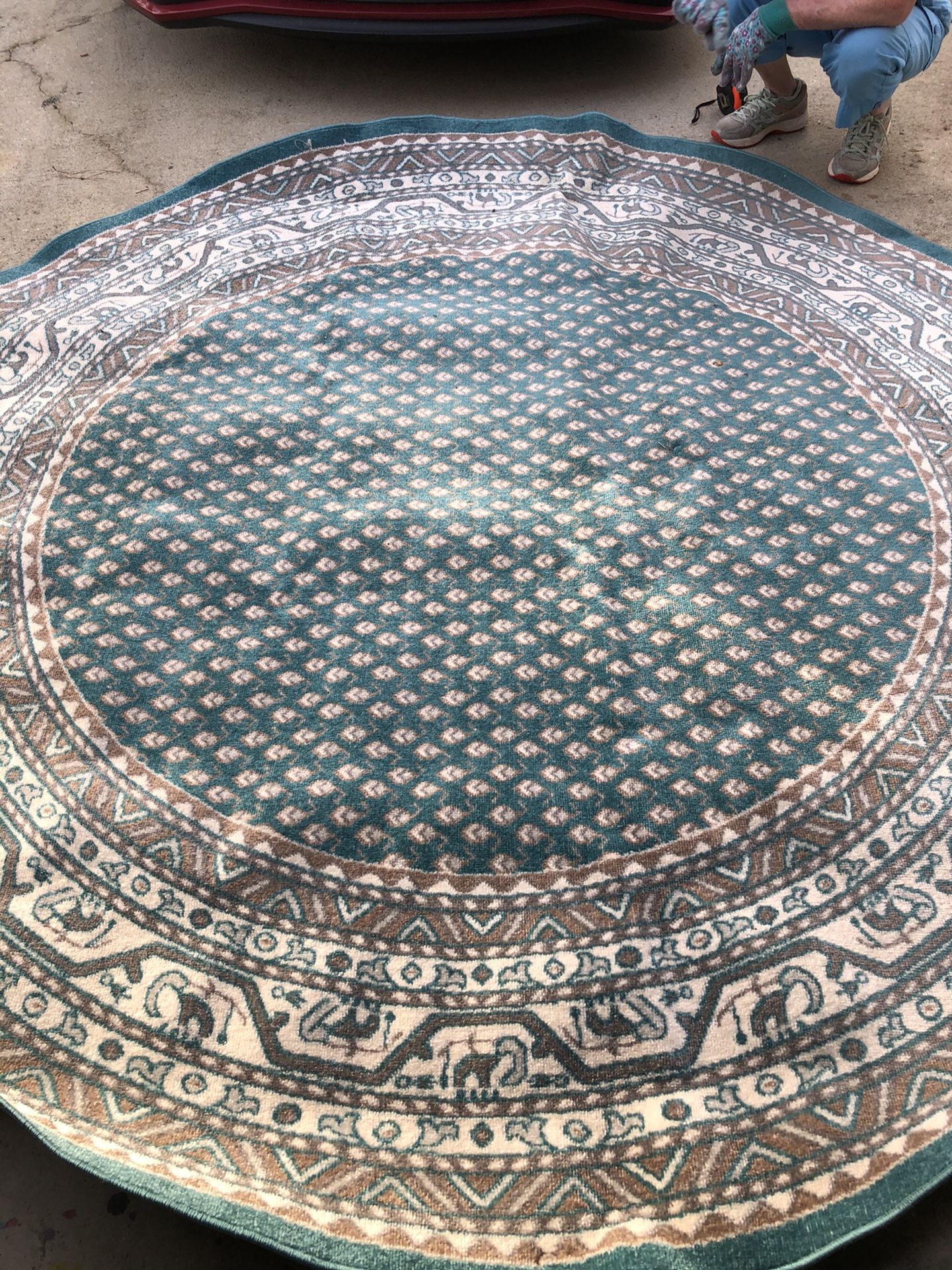 8 foot, Turquoise area rug