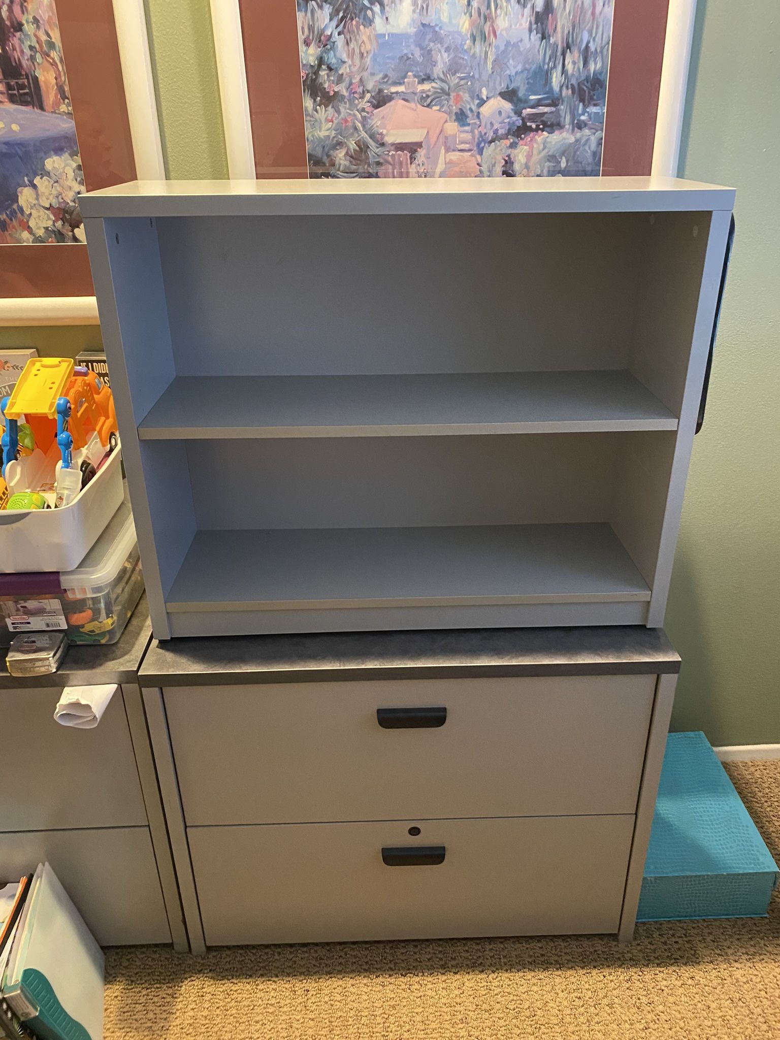 Bookshelf And File Cabinet