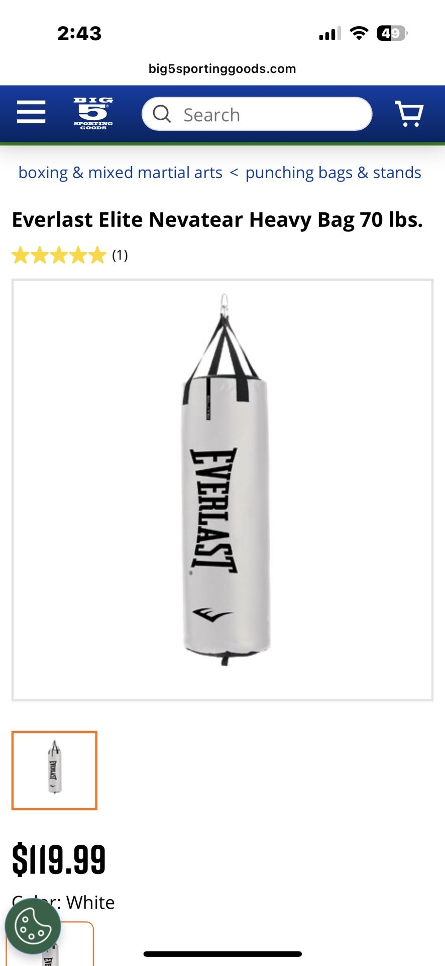 Everlast 70lb Heavy Bag
