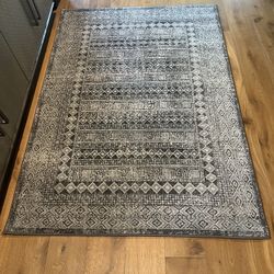 5 X 7 Area Rug