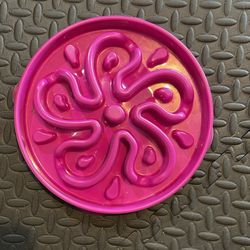 Dog Training Dish