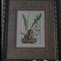 Antique , dark-colored wooden frame. 