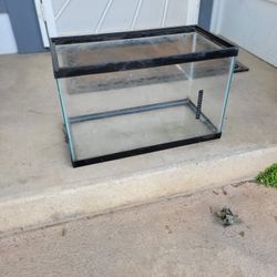 10 gallon tank!