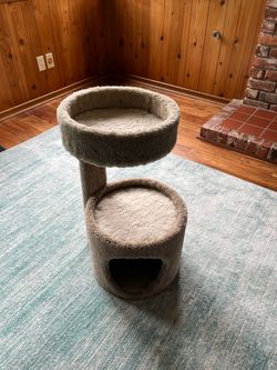 Cat Condo