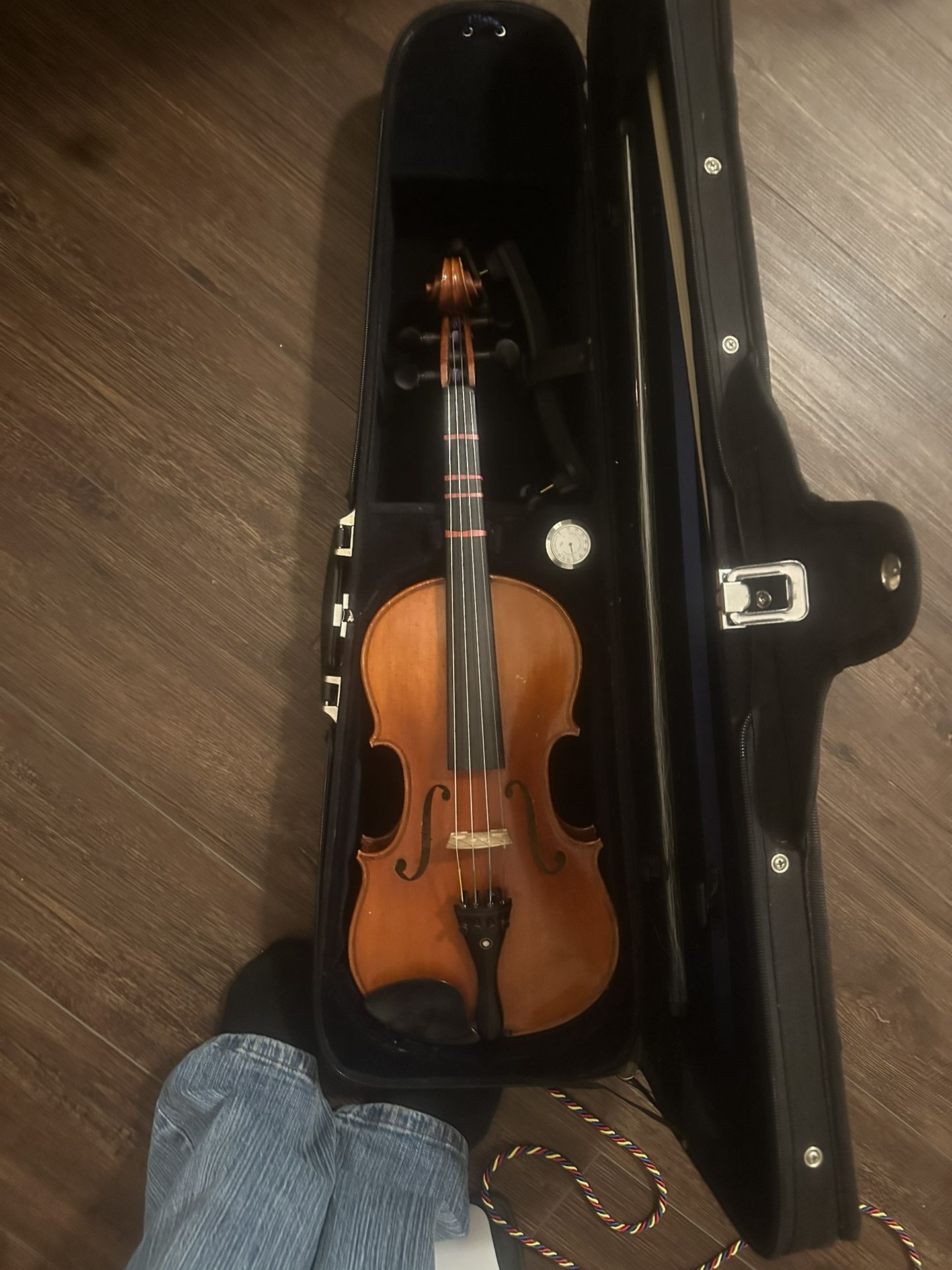 Violin