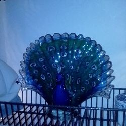 Glass Peacock 