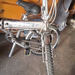 Folding Bike 
