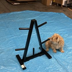 Amazon Basics Weight Plate Rack - 5-spoke, 300lb capacity