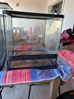 Glass Terrarium 18 x 18 x 18