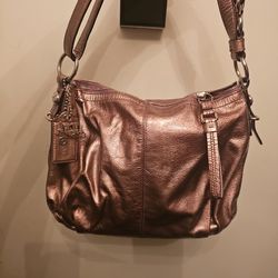 Coach Rise Gold Metalic Pet Smk Free Bukt Bag