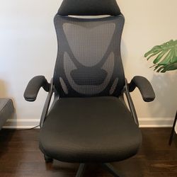 Ergonomic Office Chair (Black)