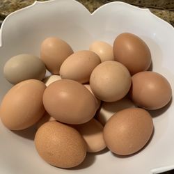 Huevos Frescos Orgánicos