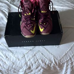 Lebrons 9.5