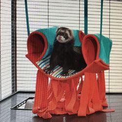 New All Living Things...Hanging Pet Hammock 