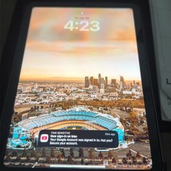 iPad Mini A7 Cellular And Wi-Fi 128GB