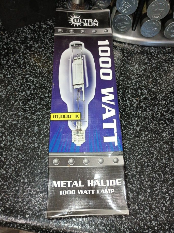 Light Bulb