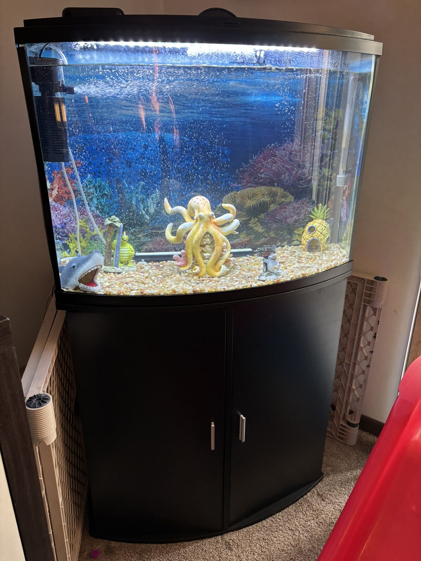 Aquarium Fish tank W/stand And Equipment