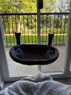 Large cat hammock