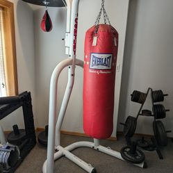 Boxing Bag With Stand 