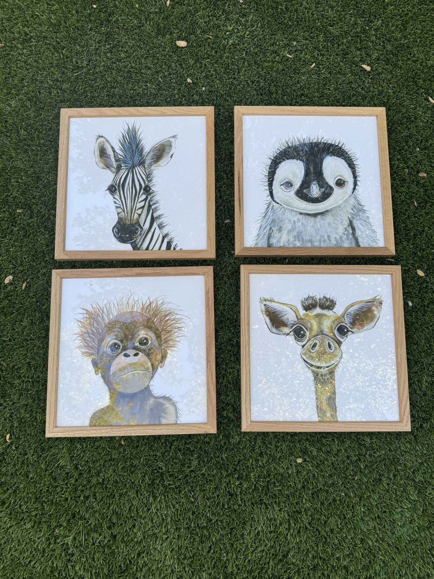 Set Of 4 Baby Animal Framed Prints