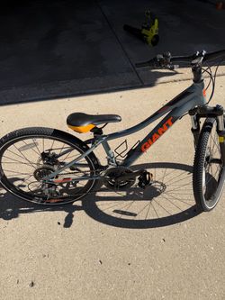Giant 24” Mountain Bike XTC jr