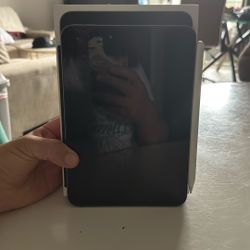 iPad Mini 256GB