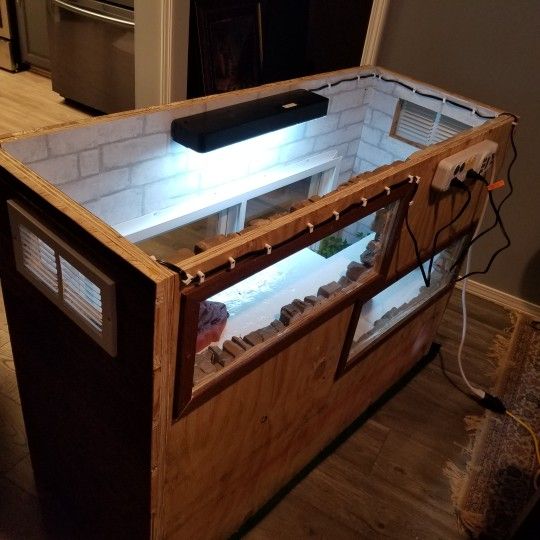 Bearded Dragon Or Iguana Habitat